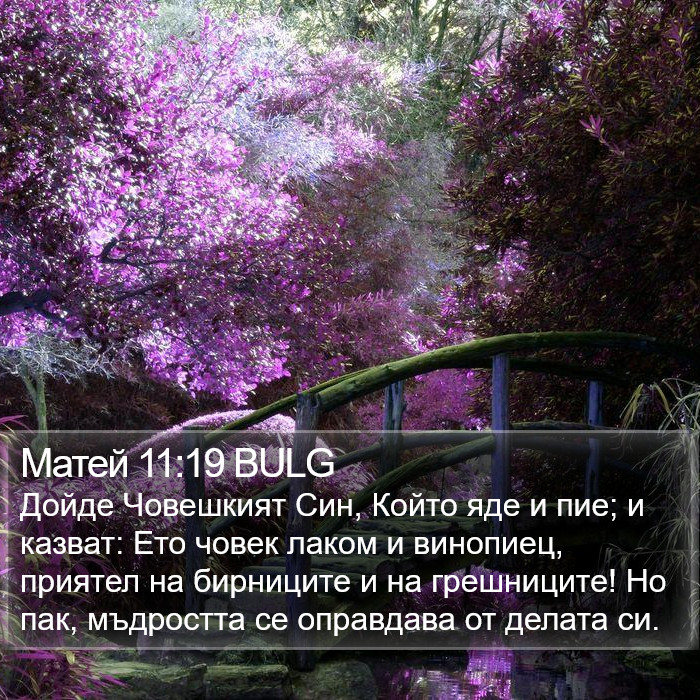 Матей 11:19 BULG Bible Study