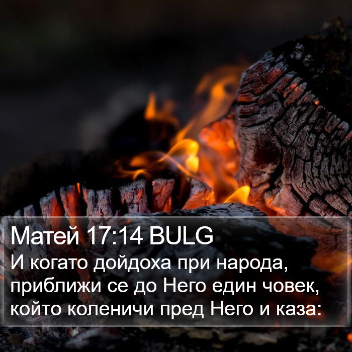 Матей 17:14 BULG Bible Study