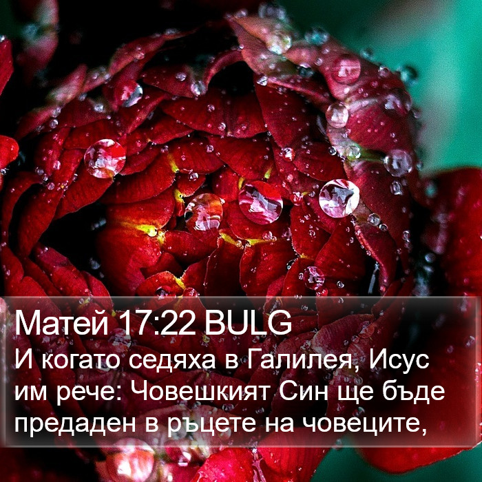 Матей 17:22 BULG Bible Study