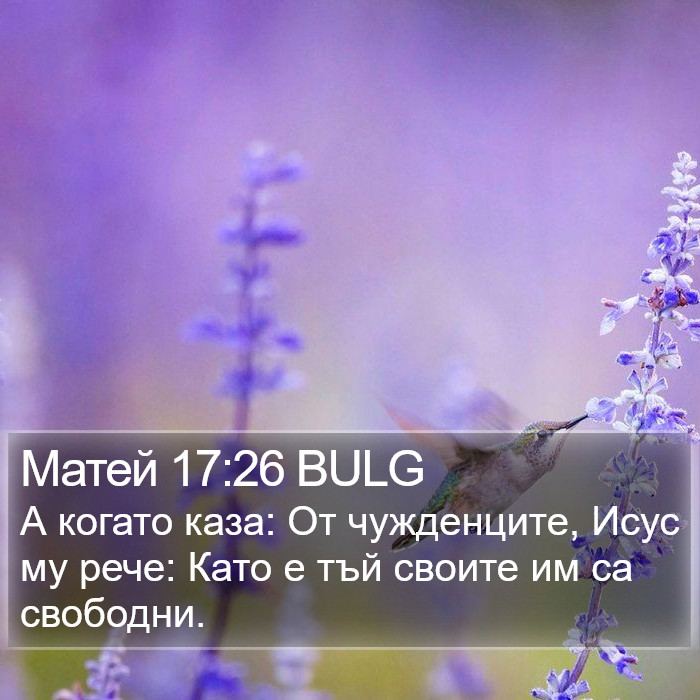 Матей 17:26 BULG Bible Study