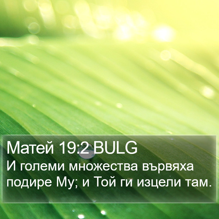 Матей 19:2 BULG Bible Study