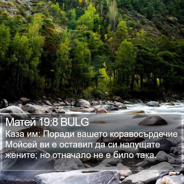 Матей 19:8 BULG Bible Study