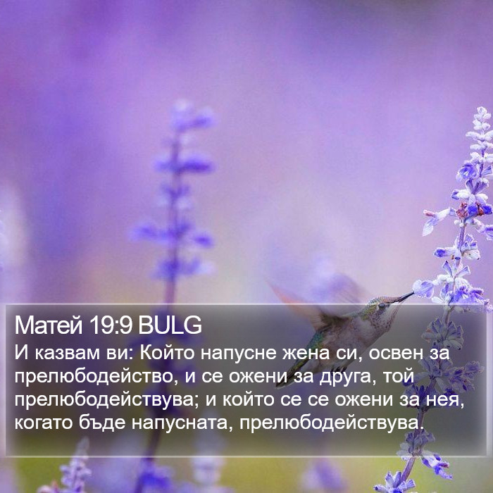 Матей 19:9 BULG Bible Study