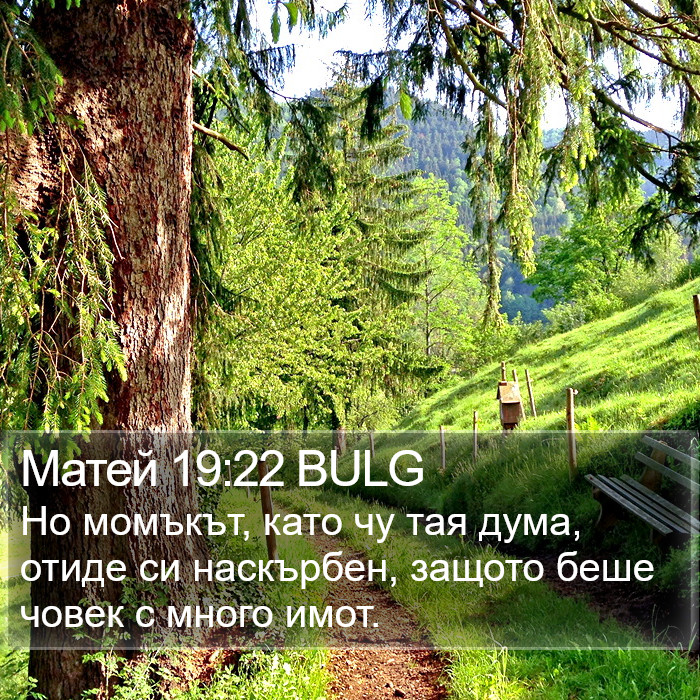 Матей 19:22 BULG Bible Study