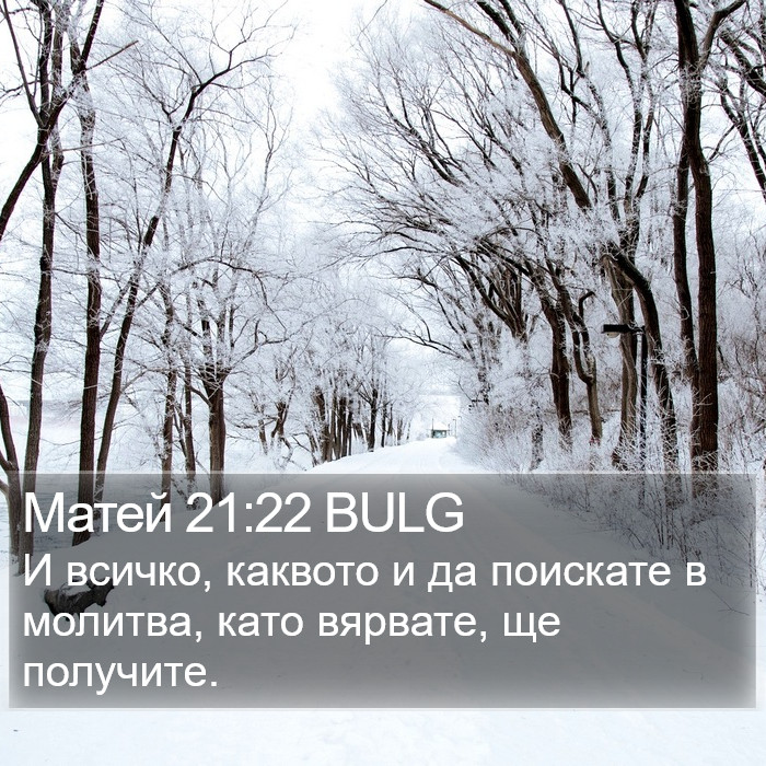 Матей 21:22 BULG Bible Study