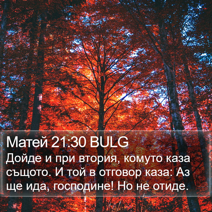 Матей 21:30 BULG Bible Study