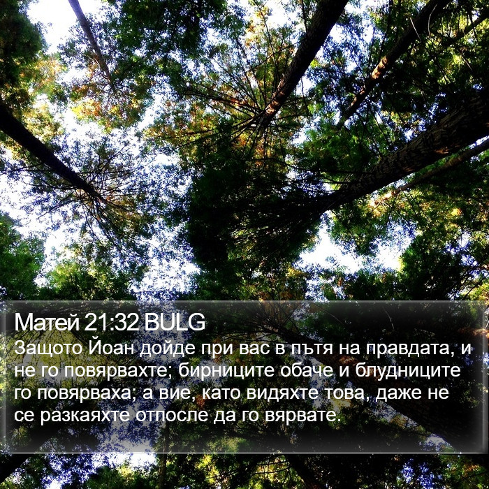 Матей 21:32 BULG Bible Study