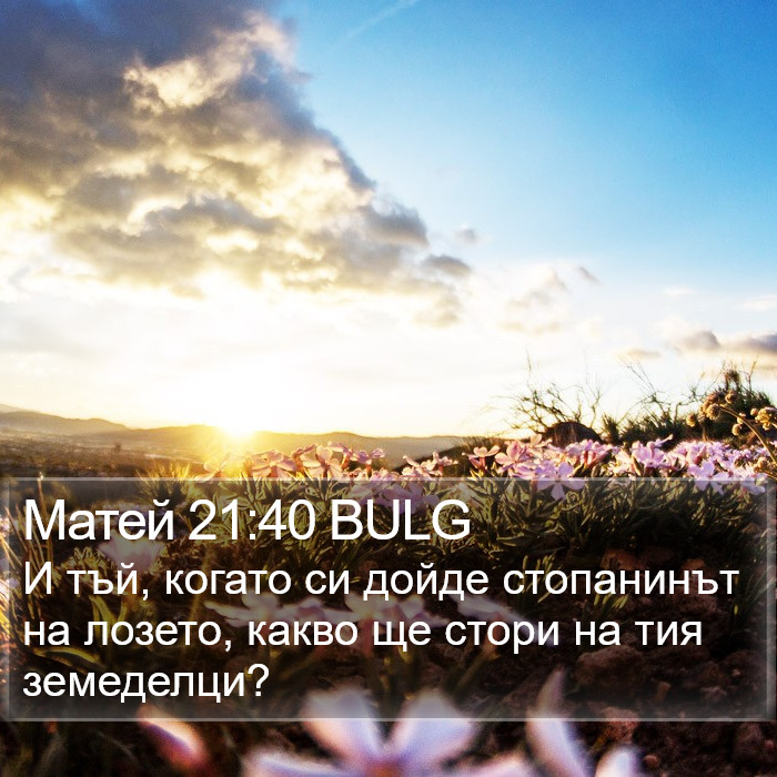 Матей 21:40 BULG Bible Study