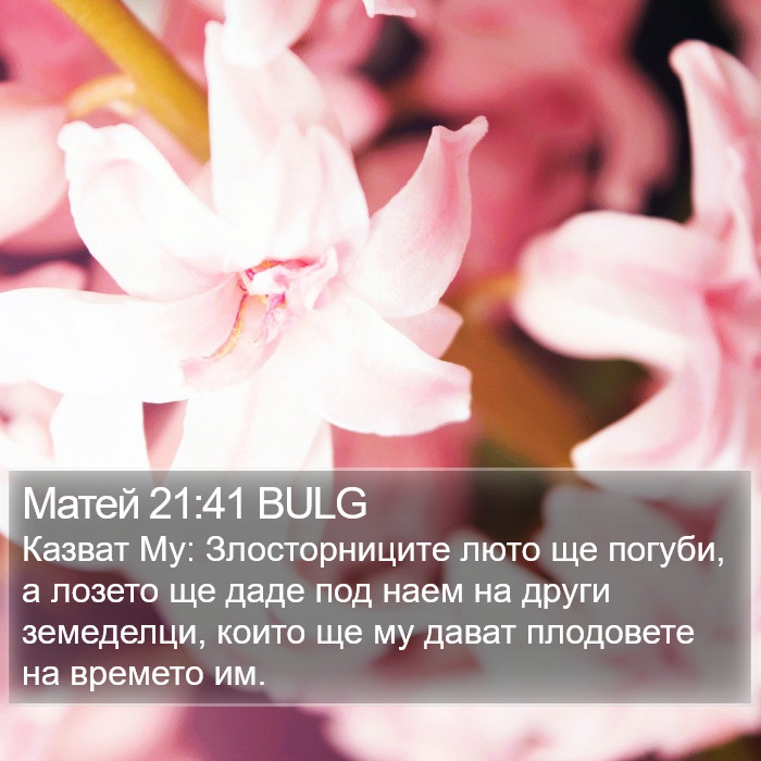 Матей 21:41 BULG Bible Study