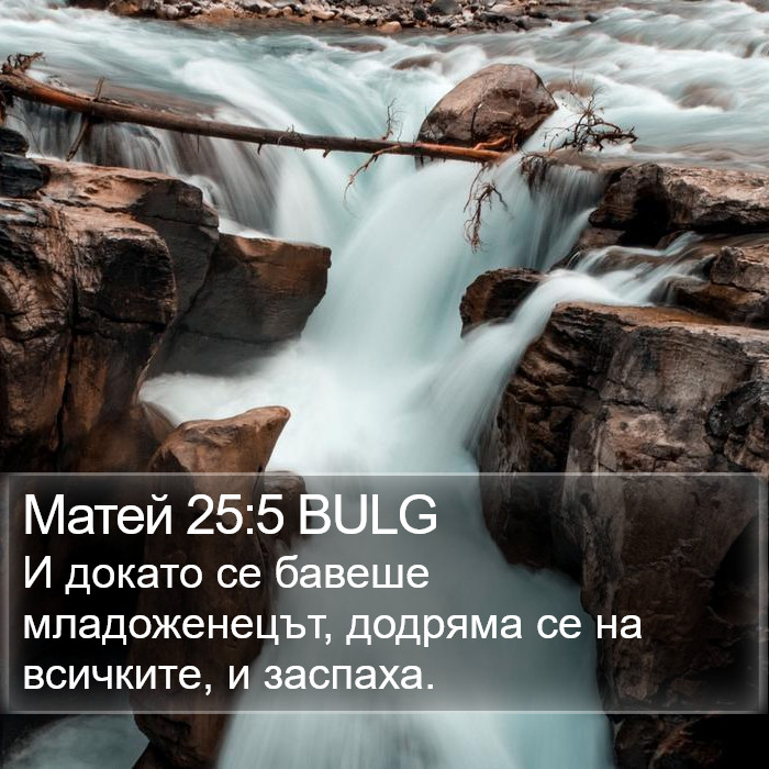 Матей 25:5 BULG Bible Study