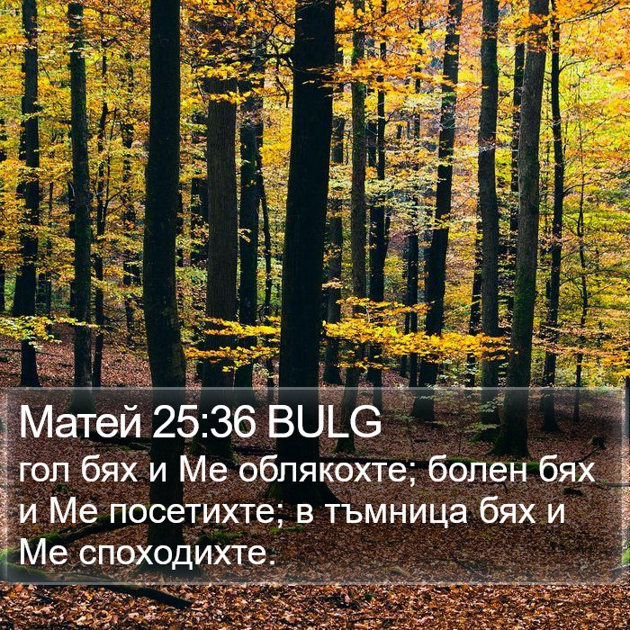 Матей 25:36 BULG Bible Study