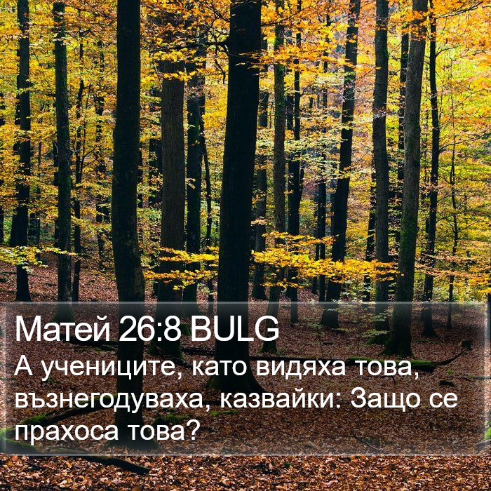 Матей 26:8 BULG Bible Study