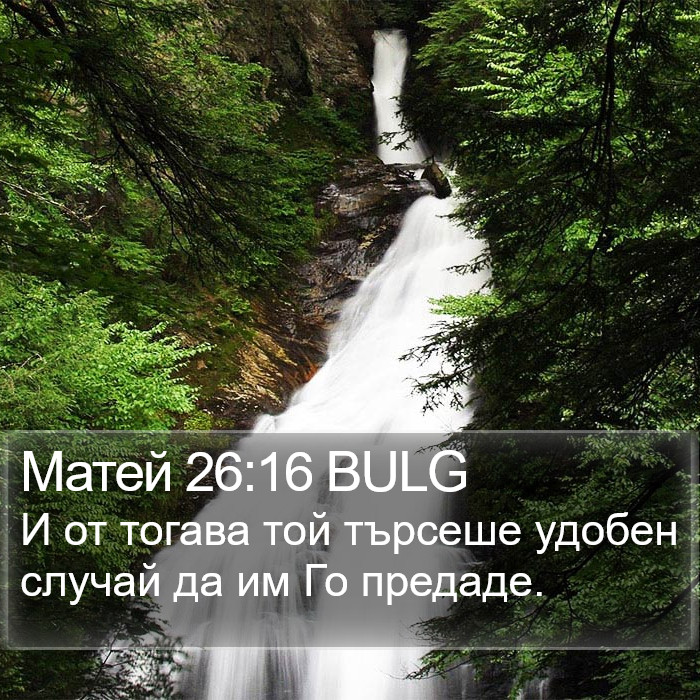 Матей 26:16 BULG Bible Study