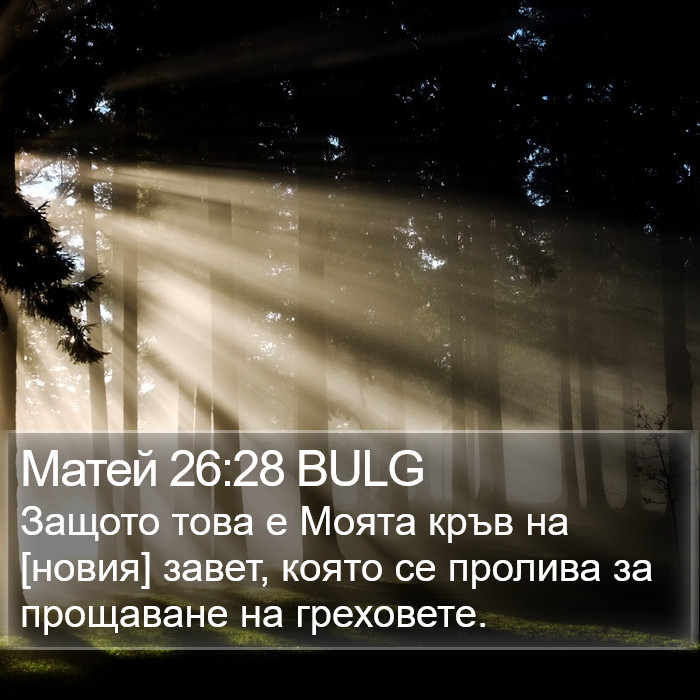 Матей 26:28 BULG Bible Study