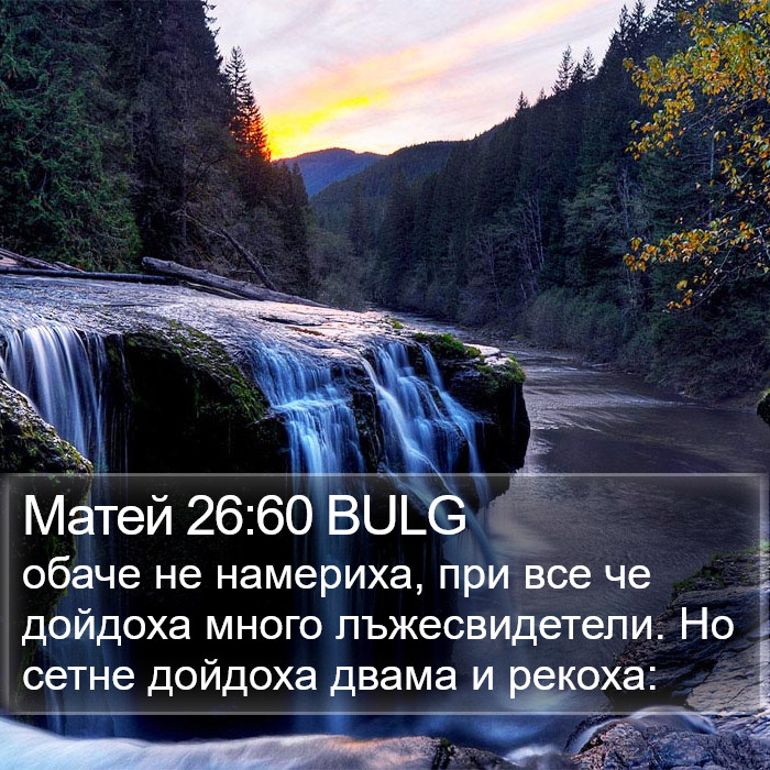 Матей 26:60 BULG Bible Study