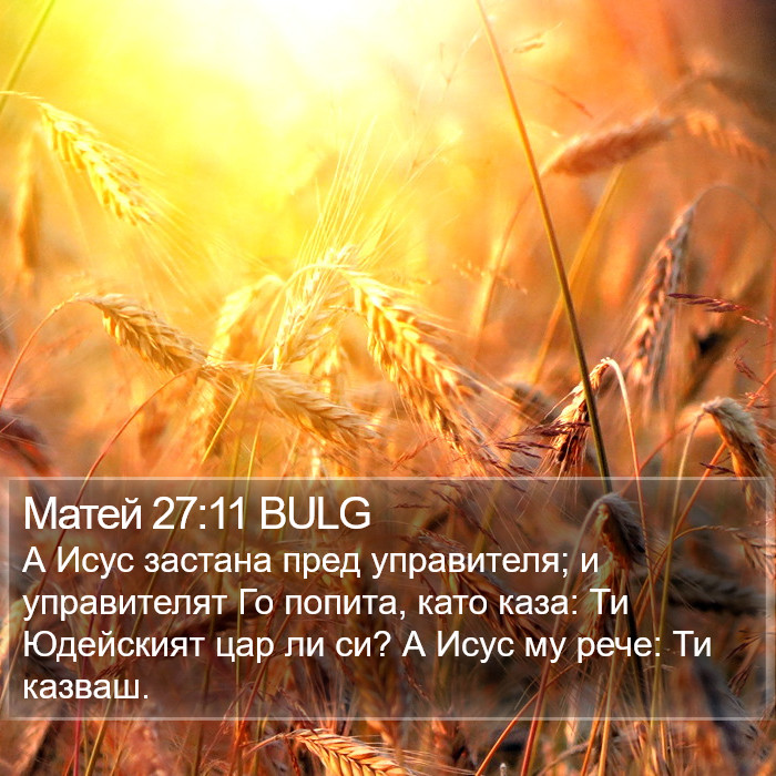 Матей 27:11 BULG Bible Study