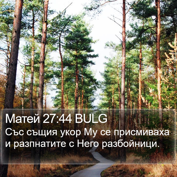 Матей 27:44 BULG Bible Study