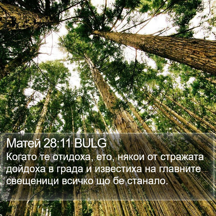 Матей 28:11 BULG Bible Study