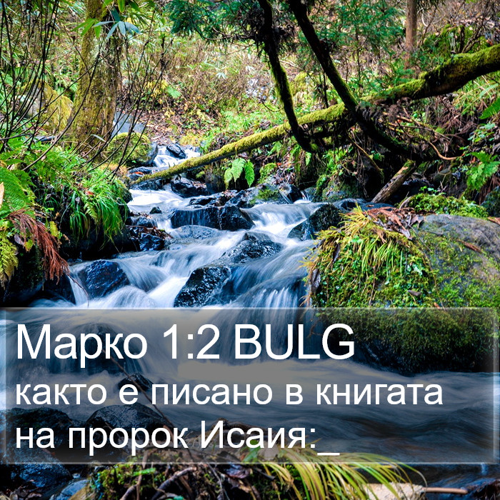 Марко 1:2 BULG Bible Study