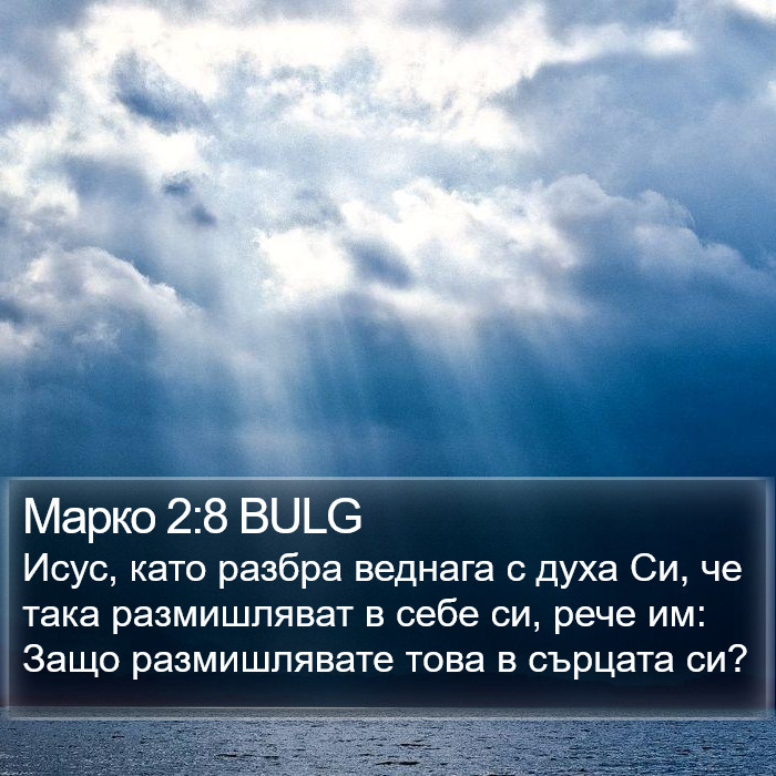 Марко 2:8 BULG Bible Study