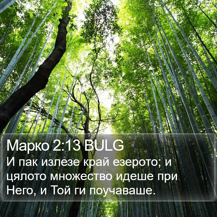 Марко 2:13 BULG Bible Study