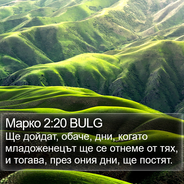 Марко 2:20 BULG Bible Study