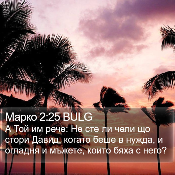 Марко 2:25 BULG Bible Study