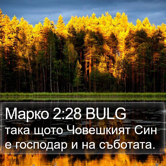 Марко 2:28 BULG Bible Study