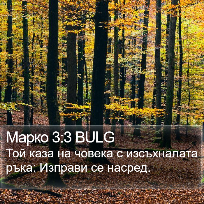 Марко 3:3 BULG Bible Study