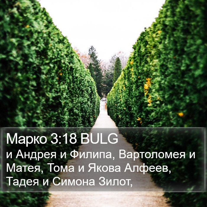 Марко 3:18 BULG Bible Study