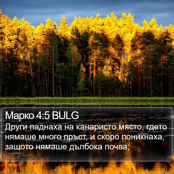 Марко 4:5 BULG Bible Study