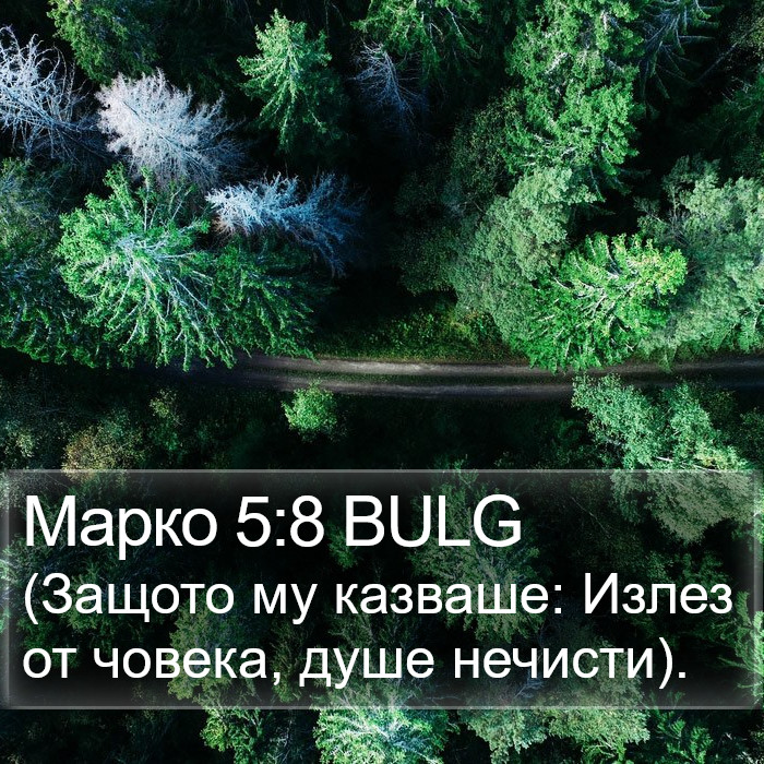 Марко 5:8 BULG Bible Study