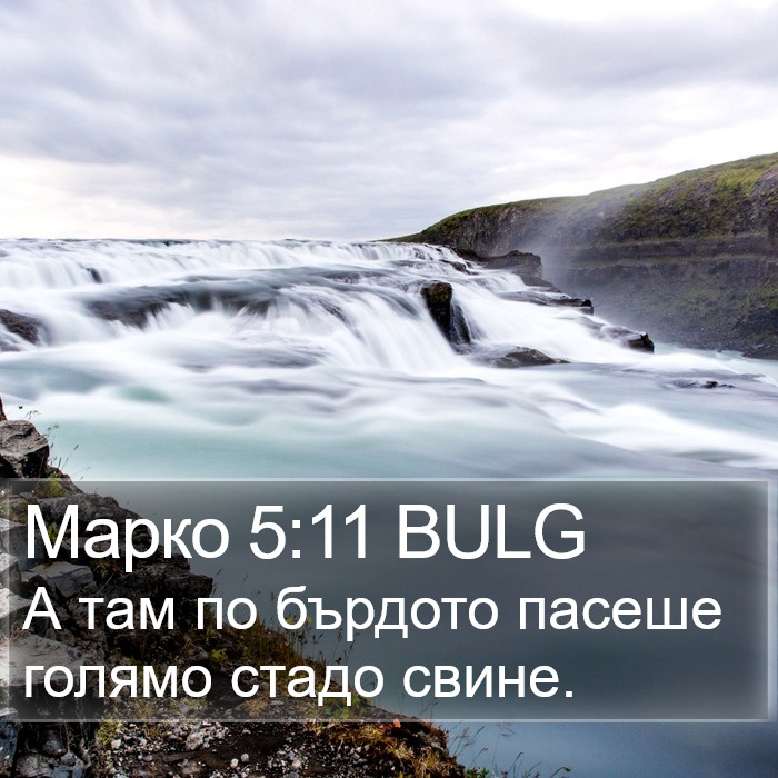 Марко 5:11 BULG Bible Study