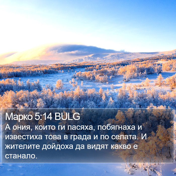 Марко 5:14 BULG Bible Study