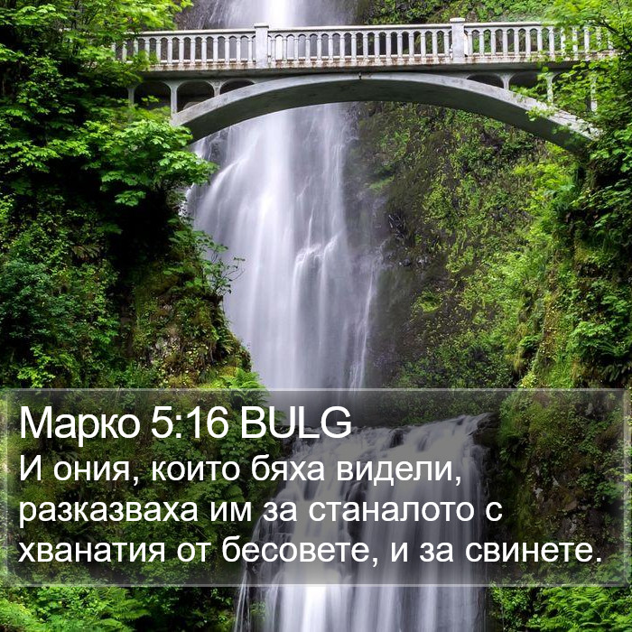 Марко 5:16 BULG Bible Study