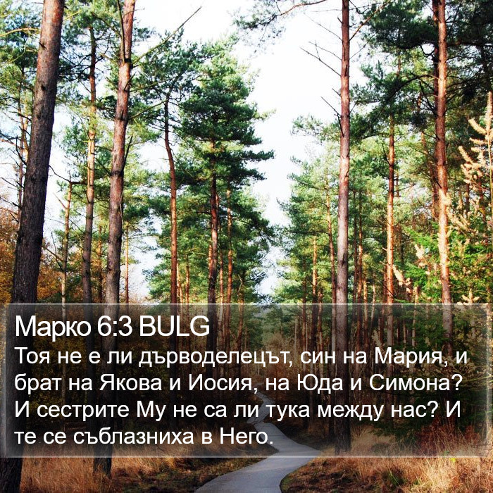 Марко 6:3 BULG Bible Study