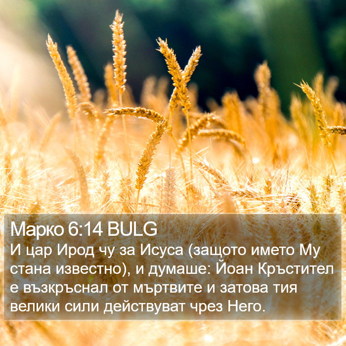 Марко 6:14 BULG Bible Study