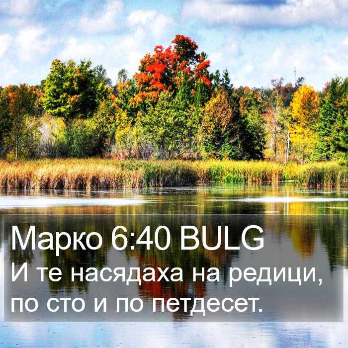 Марко 6:40 BULG Bible Study