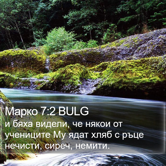 Марко 7:2 BULG Bible Study