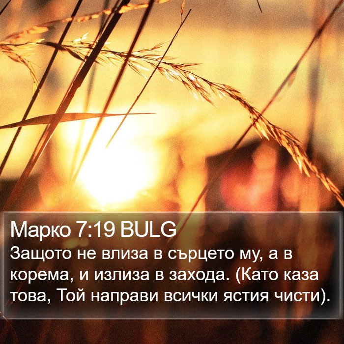 Марко 7:19 BULG Bible Study