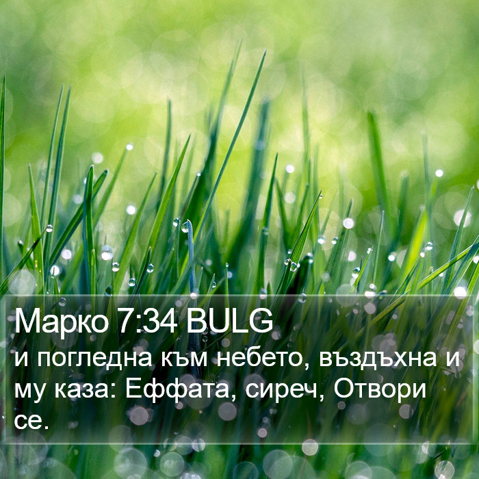 Марко 7:34 BULG Bible Study