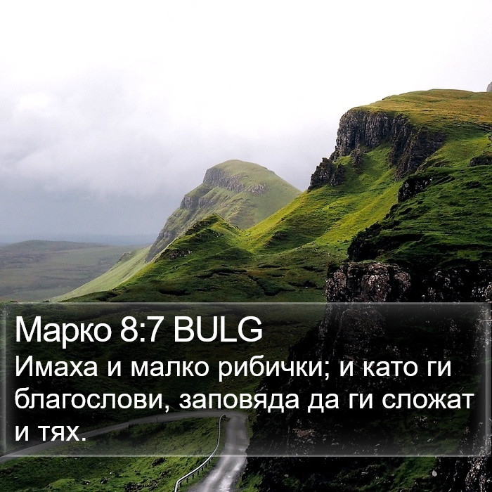 Марко 8:7 BULG Bible Study