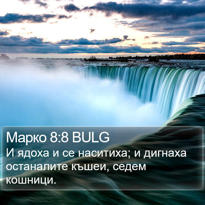 Марко 8:8 BULG Bible Study