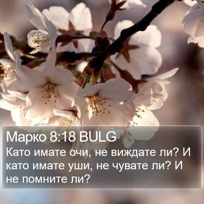 Марко 8:18 BULG Bible Study