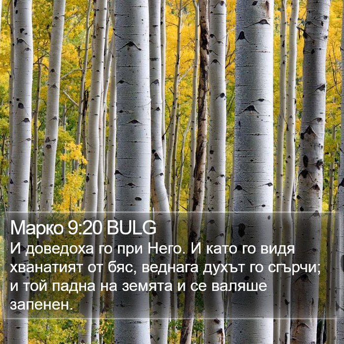 Марко 9:20 BULG Bible Study