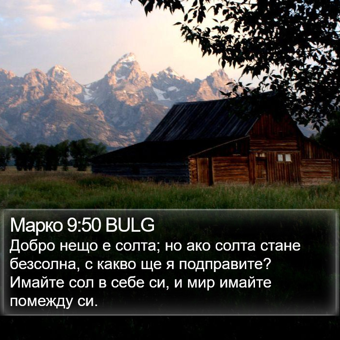 Марко 9:50 BULG Bible Study