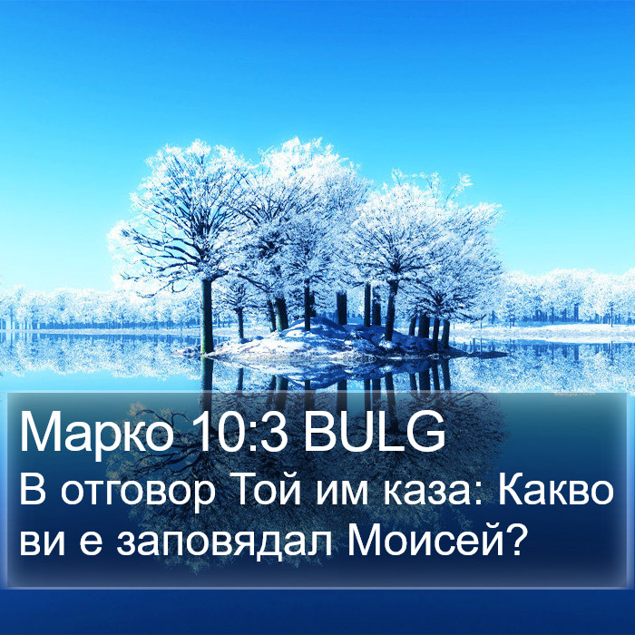 Марко 10:3 BULG Bible Study