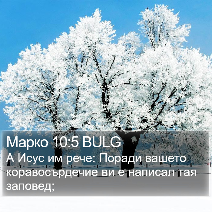 Марко 10:5 BULG Bible Study