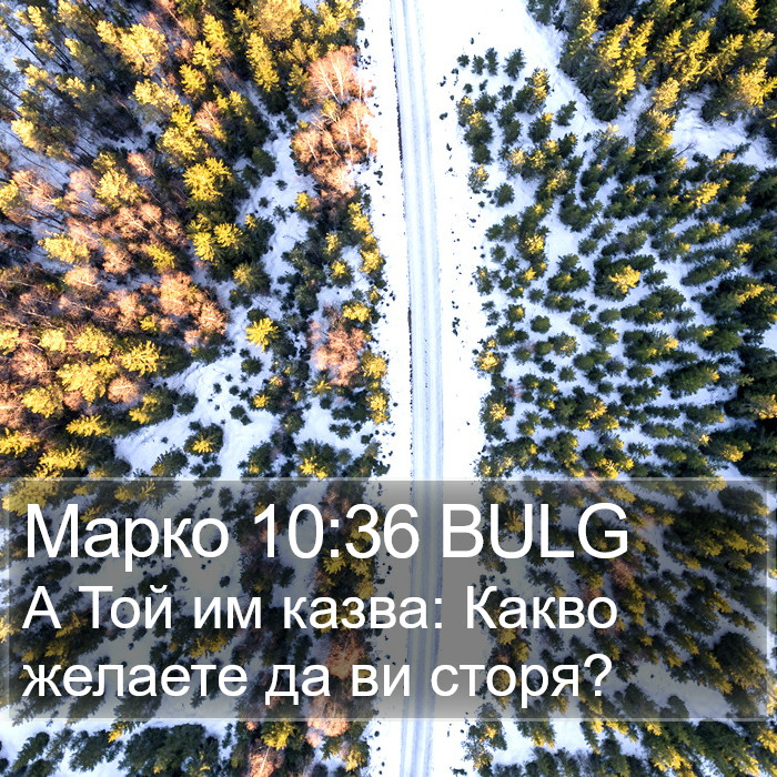 Марко 10:36 BULG Bible Study