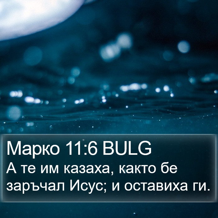 Марко 11:6 BULG Bible Study